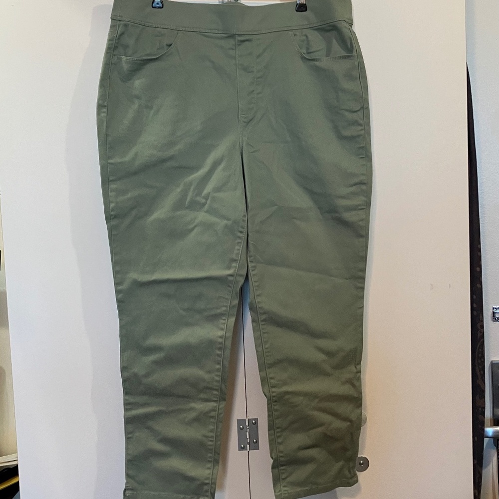 🎉 Gloria Vanderbilt All-Around Slimming Effect Pull-0n Pants